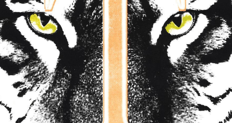 The Tiger project TORA. scr 5.png