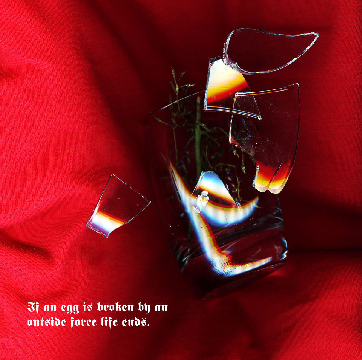 Your life is like an egg. life begins.   Jim Kwik,,.png