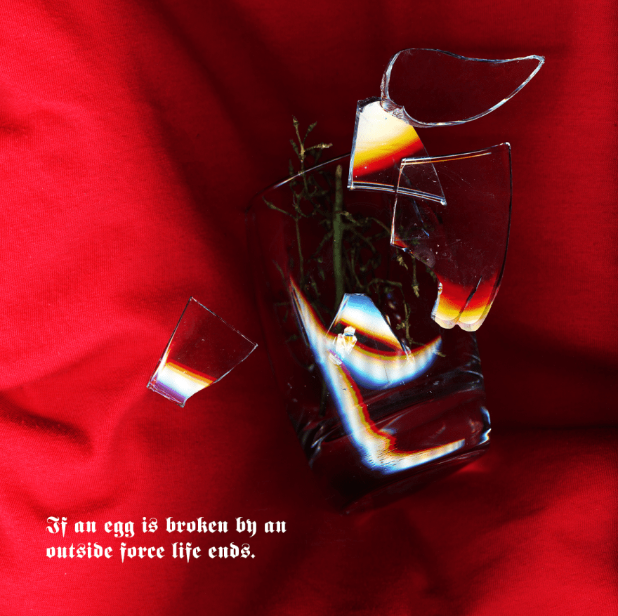 Your life is like an egg. life begins.   Jim Kwik,,.png