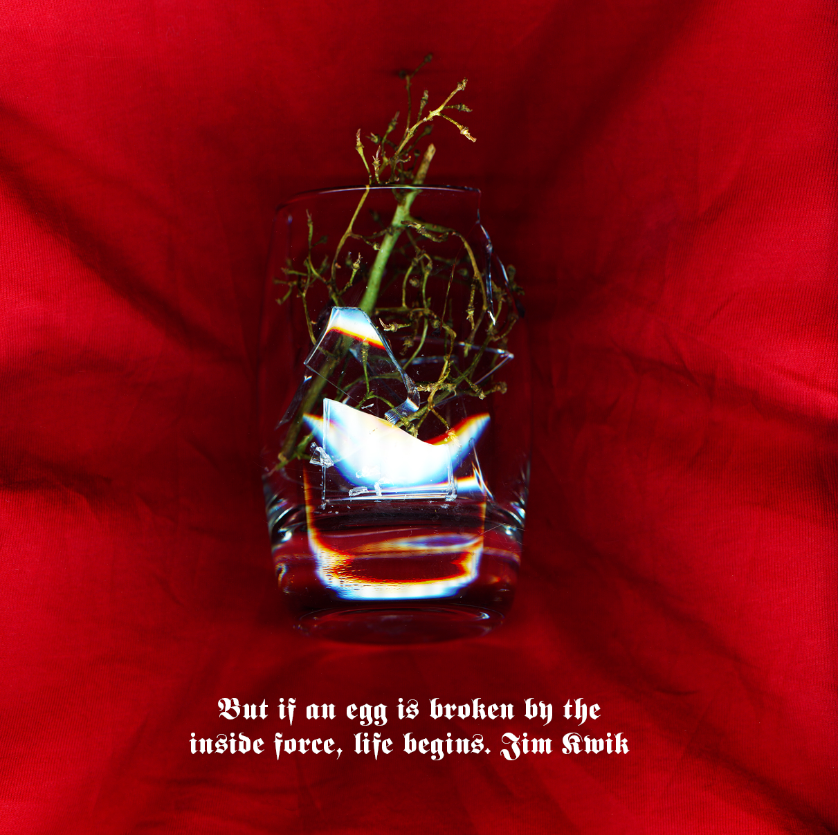 Your life is like an egg. life begins.   Jim Kwik,,,.png